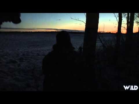 The Real Canadian Joes - Mike Allen Ryan Berrecloth Hunt Whitetails Part 1