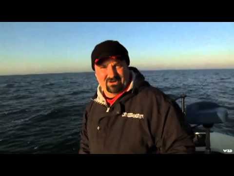 Angler Hunter Television - Lake Erie Bass