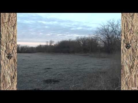 M2D Camos Livin the Dream - Verminator Predator Hunt