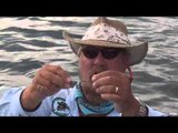 Adventures South of the Border - Roosterfish with David Jones