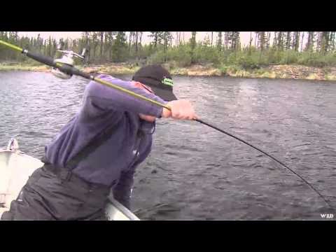 Fishful Thinking - Weed Guard Pike and Lucky Bug Salmon