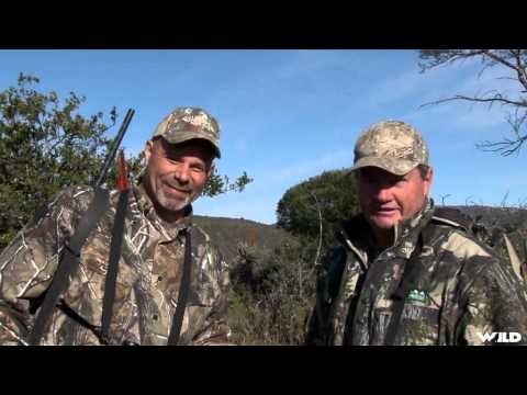 Outdoor Quest TV - South Africa Kudu and Springbok