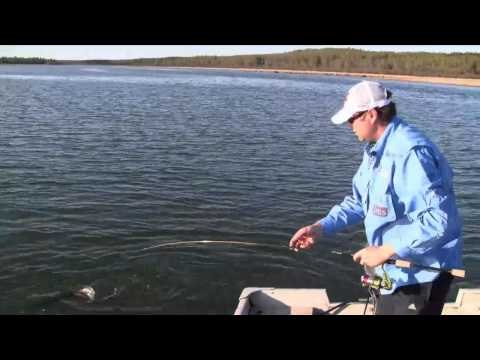 Maximum Limit Fishing - Jumpin Pike