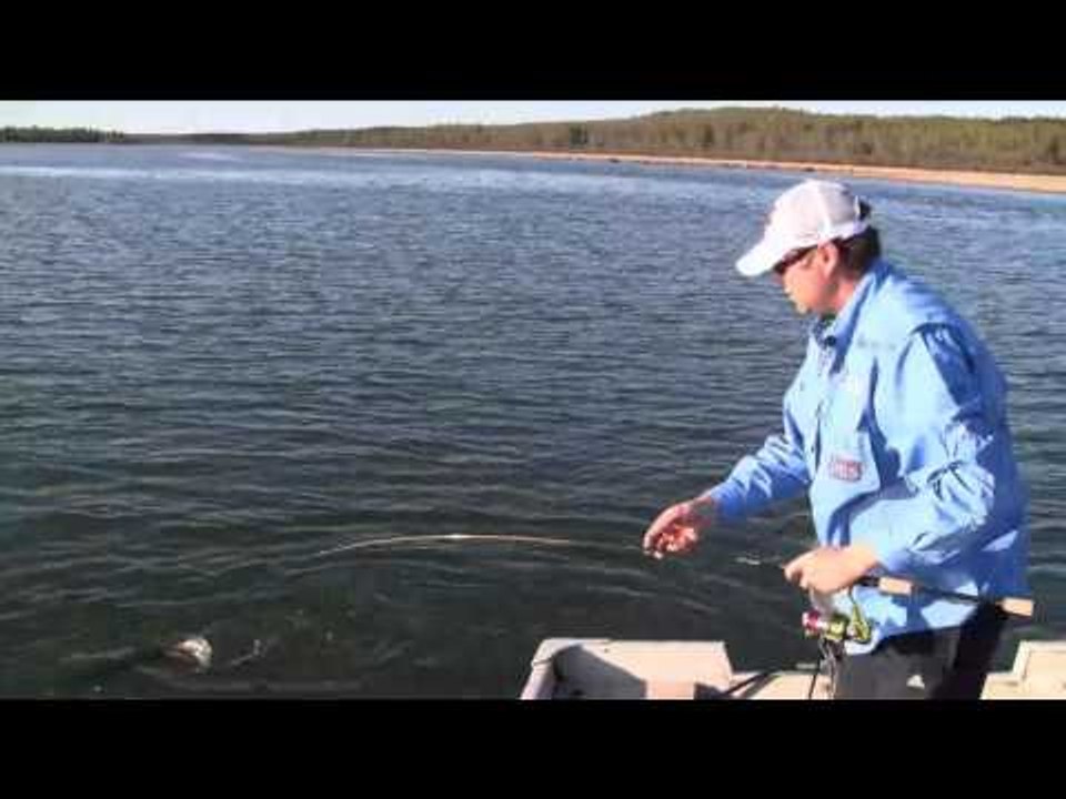 Maximum Limit Fishing - Jumpin Pike