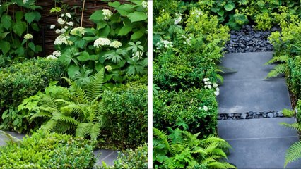Тенистый сад в Западном Лондоне