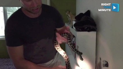 Close Encounters of the Wild Kind