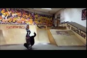 Funny FAILS | Ultimate Skateboarding Fails Compilation - 2016 (FULL HD)