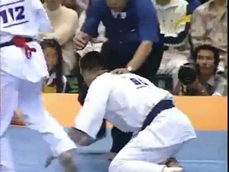 Some Kyokushin knockouts