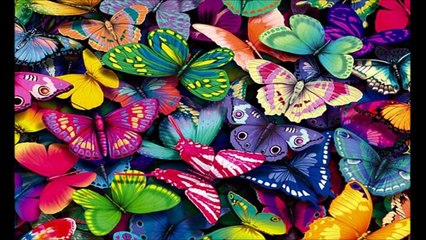 Sevimli Kelebek Çocuk Şarkısı Dinle