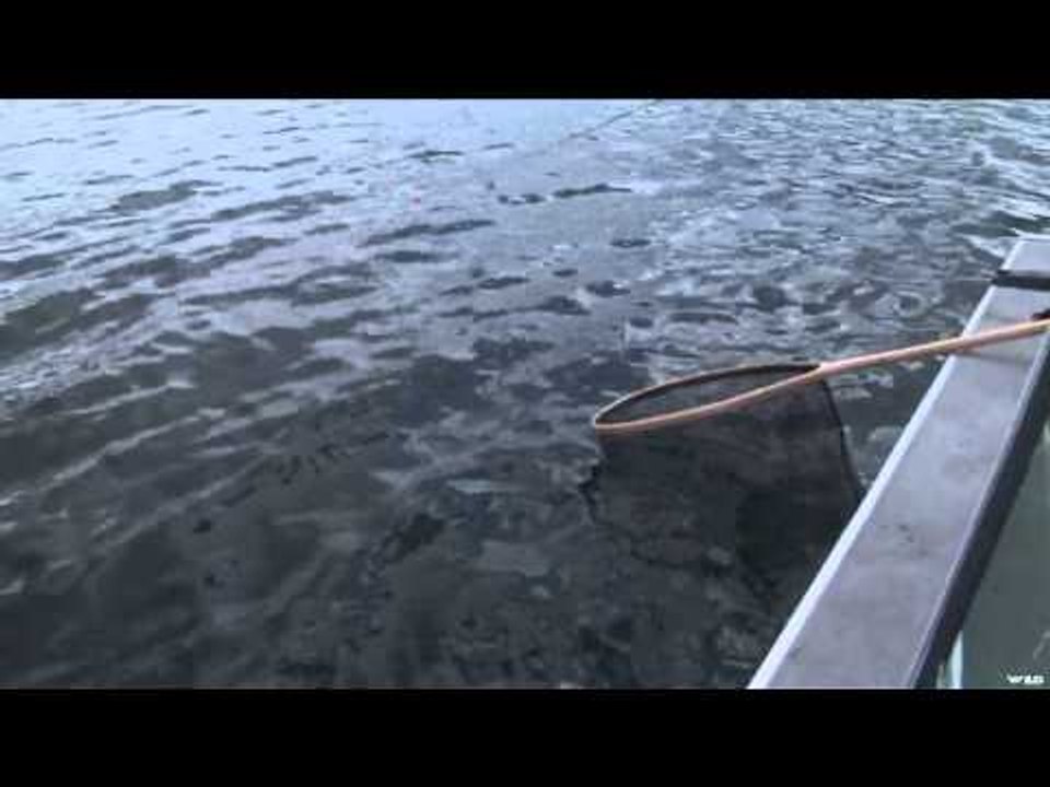 BC Outdoors Sport Fishing - Tackling the Triple Threat