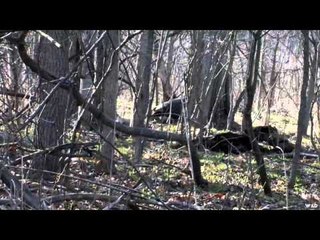 AWay Outdoors  - Greg Michigan Turkey