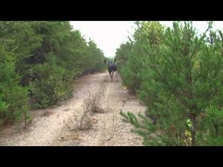 Just Us Hunting - Face to Face