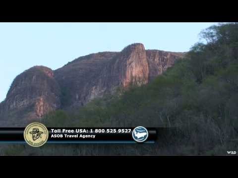 Adventures South of the Border - Monster Bass on Huites Lake