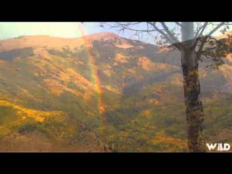 Primos  The Truth About Hunting - Elk Hunting at Ceilo Vista Ranch Part 1