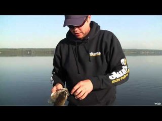 Maximum Limit Fishing - Alberta Walleye