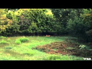 Heartland Bowhunter TV - Junior