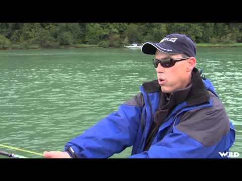 Fishful Thinking - September BC Sturgeon