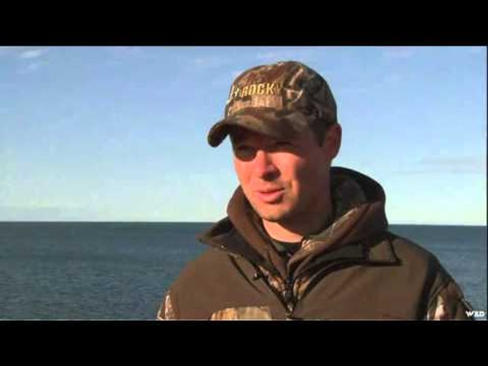 Canada in the Rough  - Fall Ruttin