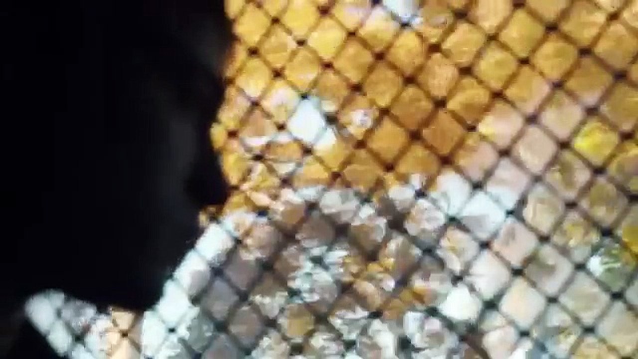 Stealing Cars Official Trailer [2015] #1 Emory Cohen, William H. Macy Drama Movie HD (Comic FULL HD 720P)