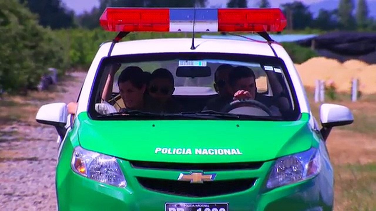 27 Avance- Pobre Gallo