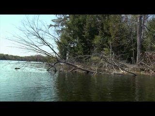 Fish TV - Springtime Crappie