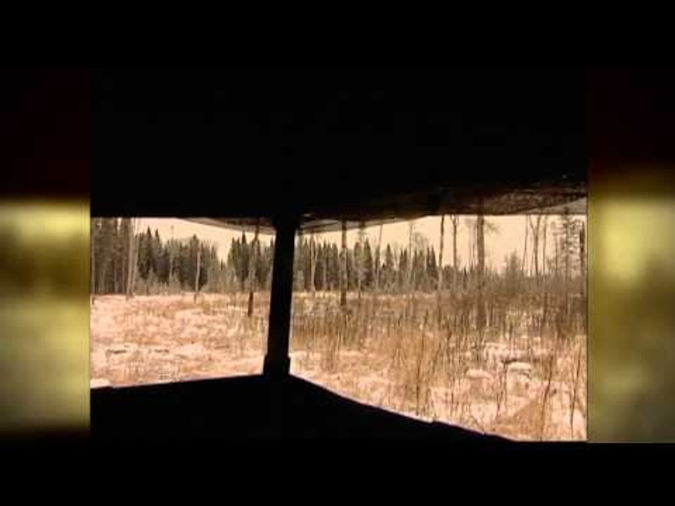 Primos  The Truth About Hunting - Jimmy Primos Favourite Hunts