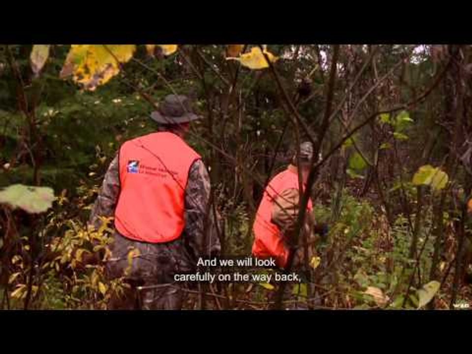 Expedition Faune - Partridge La Vrendrye