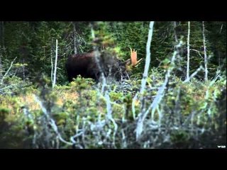 Canada in the Rough  - Hunting The Rocks