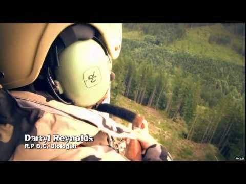 Canada in the Rough - Up Close with Roosevelt Elk