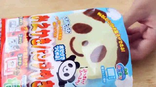 2 In 1 Panda Oekaki Kit And Plush!-1