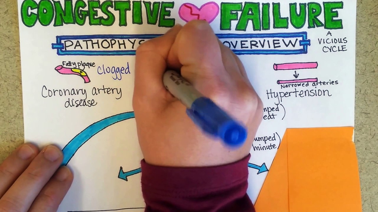 Congestive Heart Failure Pathophysiology