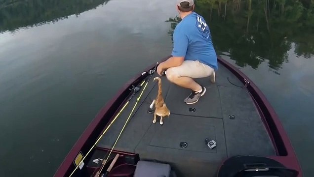 + 100500 к карме)