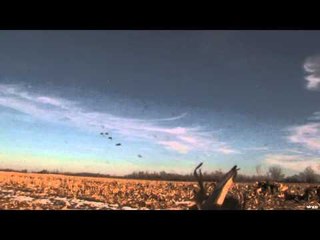 The Quest  - Season One: Year in Review