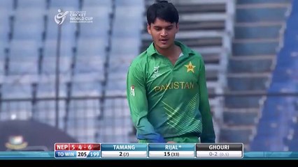 The  Cartwheel Catch  from Mohsin