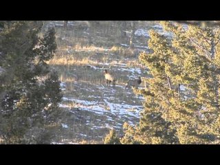 Into High Country - Montana Dream Hunt