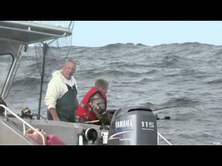 Nice Fish Jr. - Tahsis Offshore
