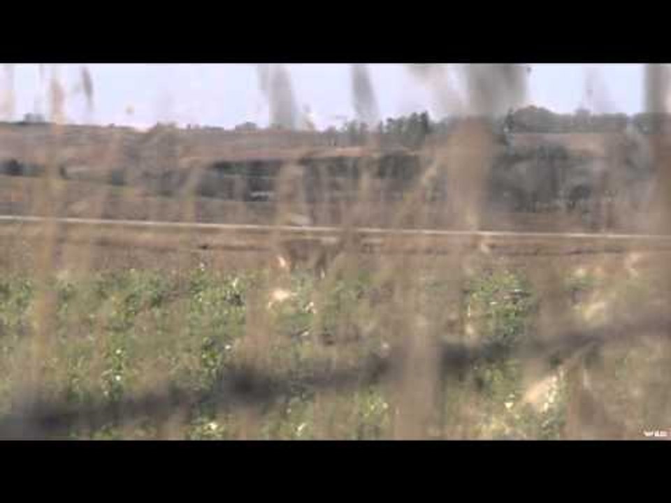 Archers Choice - Hometown Bucks Kicking Our Butts