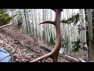 Outfitters Guide Television - Shed Hunting with Collin