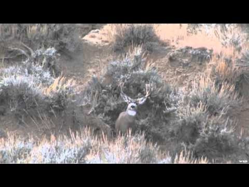 Woods n Waters North American Big Game Adventures - Bear Track Outfitters Part 2