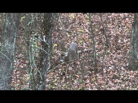 Buck Ventures Outdoors - Daniel in Iowa
