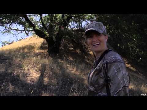 Archers Choice - Sunshine bucks in California