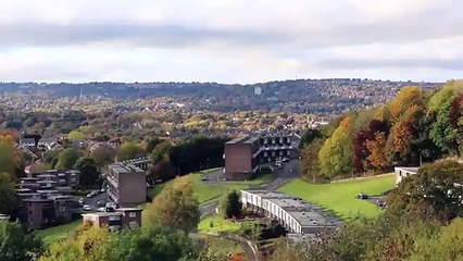 Sheffield resident Brendan Ellis wants the felling to stop _ Daily Mail Online