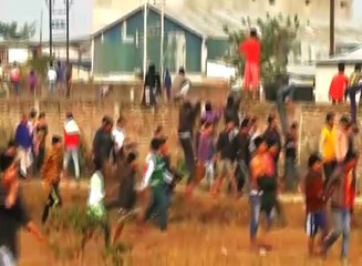 Elephant rampage causes panic in West Bengal