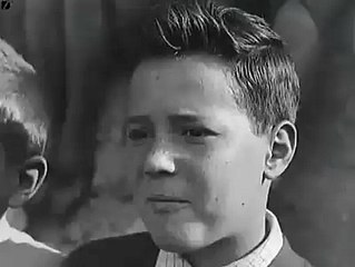 Italians  ! How the fuck did they manage to do this  Bravo!