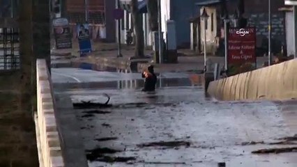 Nehre atlayan genç, aç köpeklerin saldırısından son anda kurtuldu