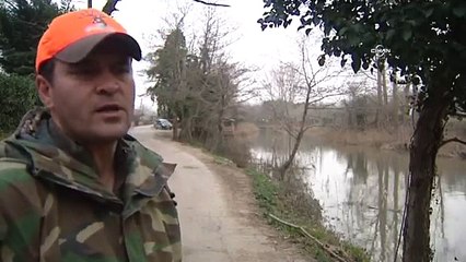 Riva Deresi'nde günlerdir ölü balık akıyor