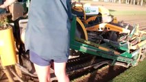 Harvesting Turf On The Sunshine Coast - Daleys Turf