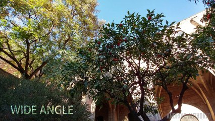 LG G5 Official informative Video.