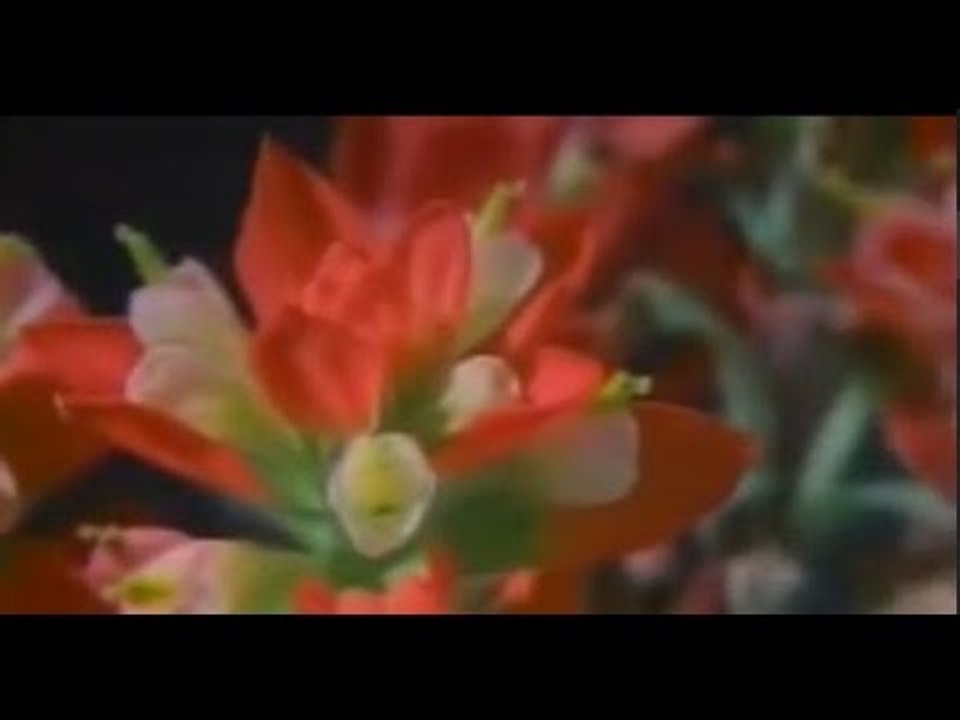 Sedat Uçan - Ey Aşıkı Aşıklar