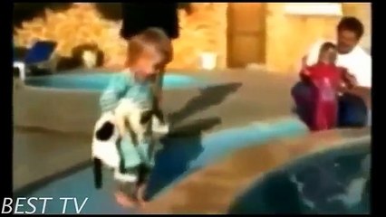 Best Funny Video ★ Amazing Cats ★ Best TV (Funny Videos 720p)